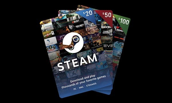 Imagen de STEAM (USA)